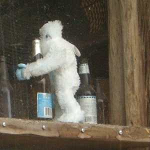 Yeti hugging a beer...