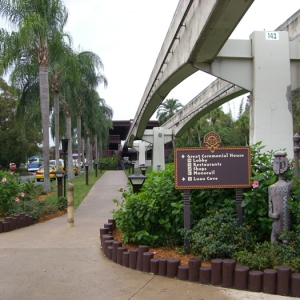 Near bus stop at Polynesian Resort