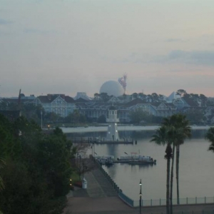 dolphinview3
