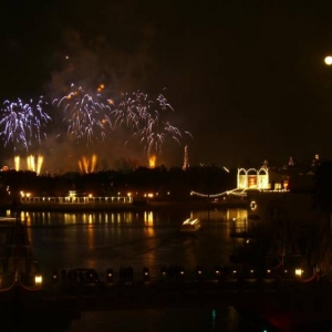dolphinview_fireworks