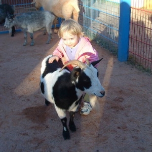 Affection Section