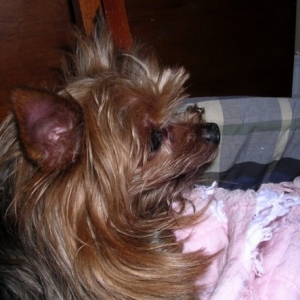 Emmie Lulu
