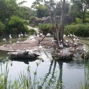 Disney_World_Pics_182