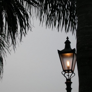 Disney_World_Pics_230