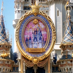 HCOE Mirror