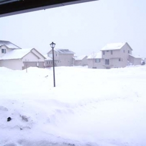 Snow_2007_005_copy