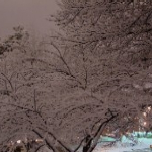 Omaha Snow