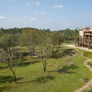 Savannah view from 5th floor