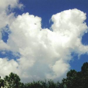 mickeycloud