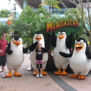 penguins