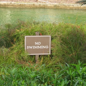 swimming