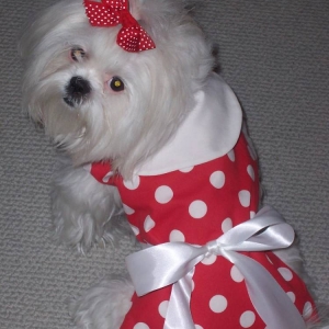 Maddie looks like Minnie!