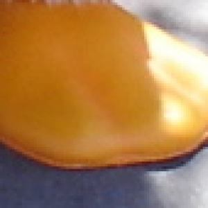 FootRiddle2