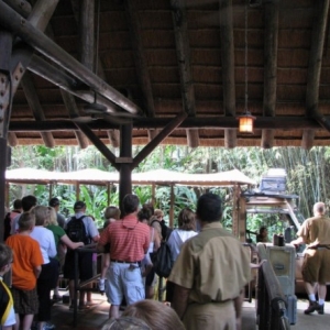 safari1