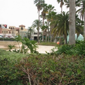 mgm12