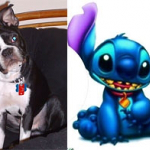 MaxandStitch