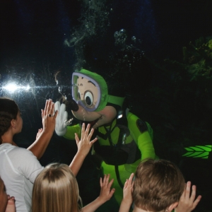 Diver