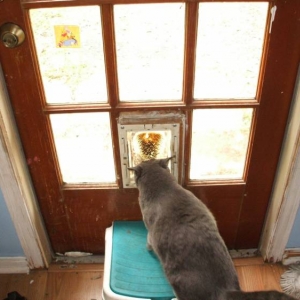 door