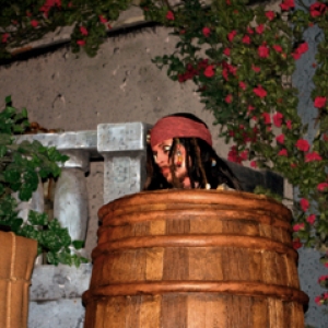 Peeking Captain Jack in POTC