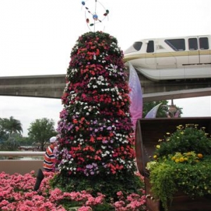 Disney3-07d_176_Small_
