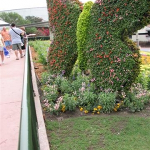 Disney3-07d_182_Small_