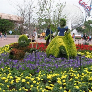 Disney3-07d_169_Small_
