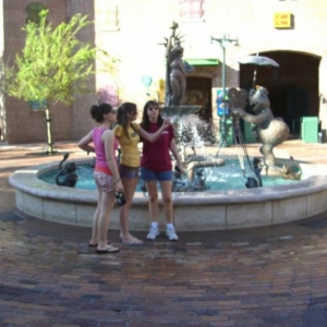 wdw19
