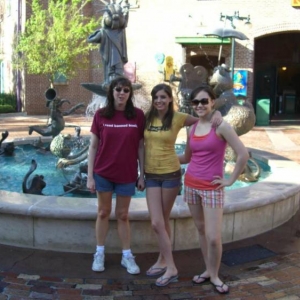 wdw20
