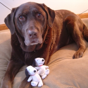 Mac_and_Snoopys2