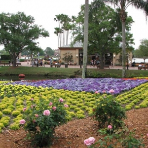Disney3-07d_158_Small_