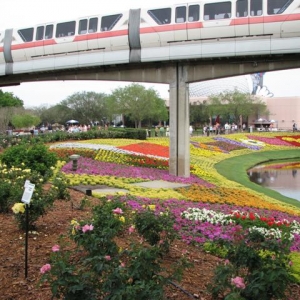 Disney3-07d_161_Small_