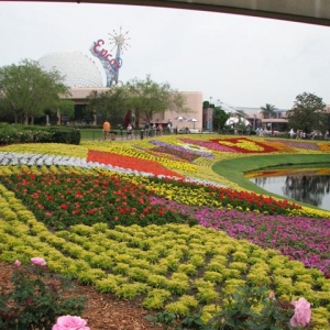 Disney3-07d_162_Small_