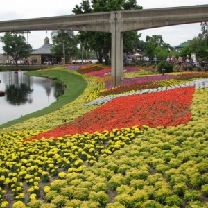 Disney3-07d_163_Small_