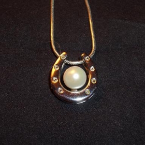 Horseshoe setting
