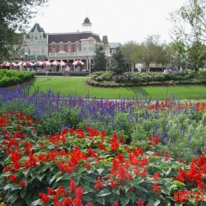 WDW_2004_309A