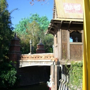wdw37