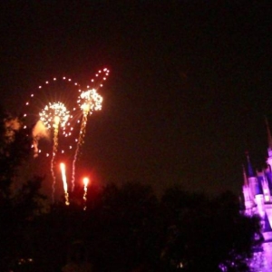 wdw85