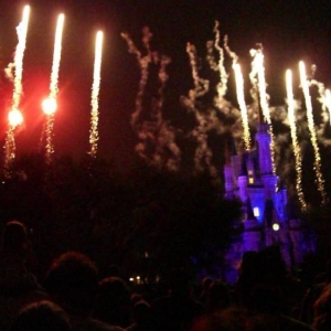 wdw86