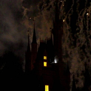 wdw87