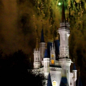 wdw88