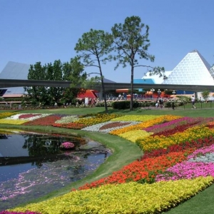 Flower & Garden Festival