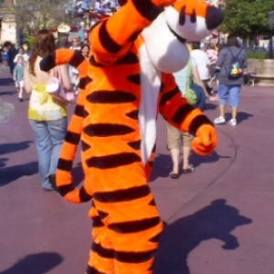 florida_besk_ret_003