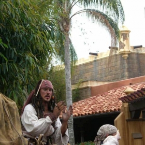 wdw97
