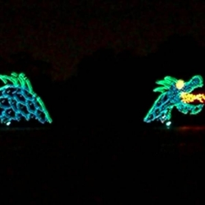 wdw108