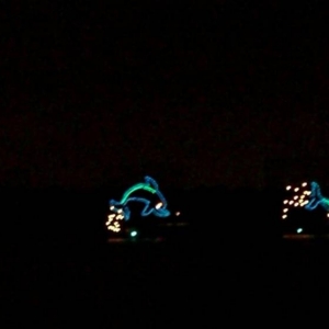 wdw111