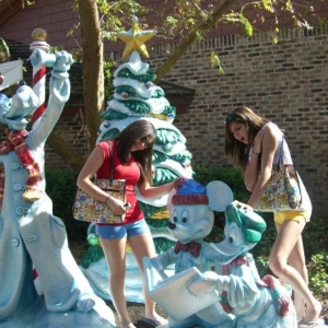 wdw137