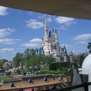 wdw163