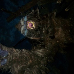 Yeti