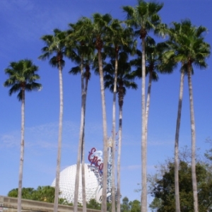 florida_075