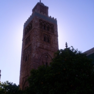 florida_110
